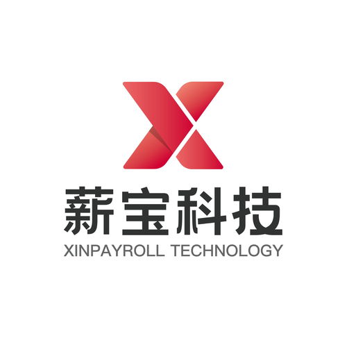 薪寶信息科技 廣州信息科技領域的技術開發(fā)先鋒