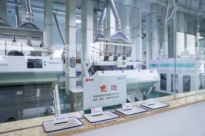 金健米業生產中心 以信息科技驅動成本控制，全面深化提質增效
